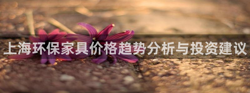 tp-link怎么安装：上海环保家具价格趋势分析与投资建议
