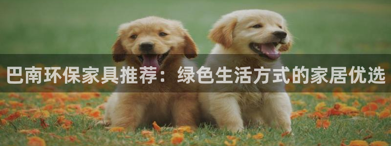TP钱包Dapp无法连接是什么原因：巴南环保家具推荐：绿色生