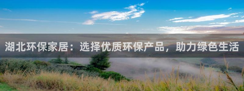 ht怎么提到tp钱包：湖北环保家居：选择优质环保产品，助力绿