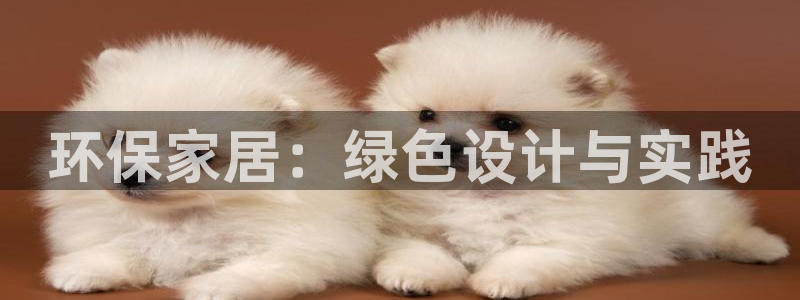 tp钱包ios最新版：环保家居：绿色设计与实践