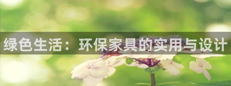 tp钱包heco链的币怎么转到交易所：绿色生活：环保家具的实