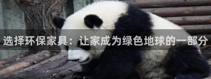 tp钱包APP不小心卸载了：选择环保家具：让家成为绿色地球的