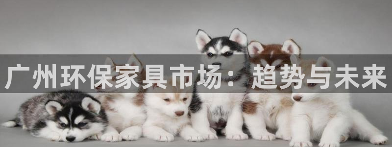 TP钱包BNB显示cop：广州环保家具市场：趋势与未来