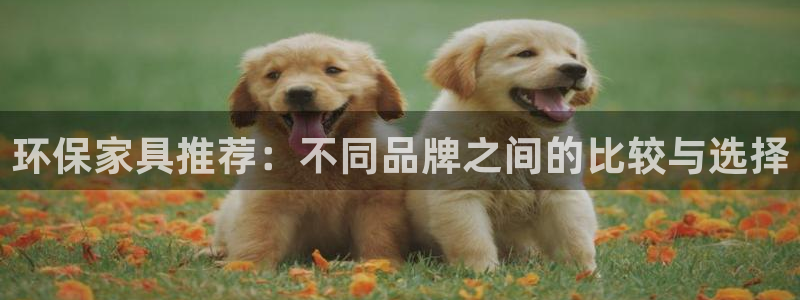tp钱包安卓版入口：环保家具推荐：不同品牌之间的比较与选择