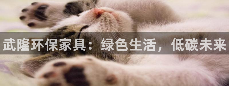 tp钱包安卓最新版下载：武隆环保家具：绿色生活，低碳未来