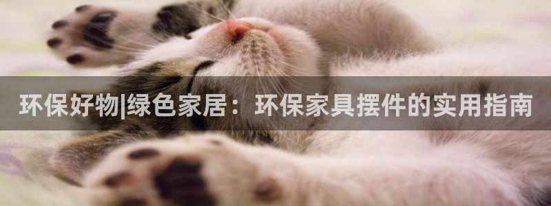 tp官网下载钱包