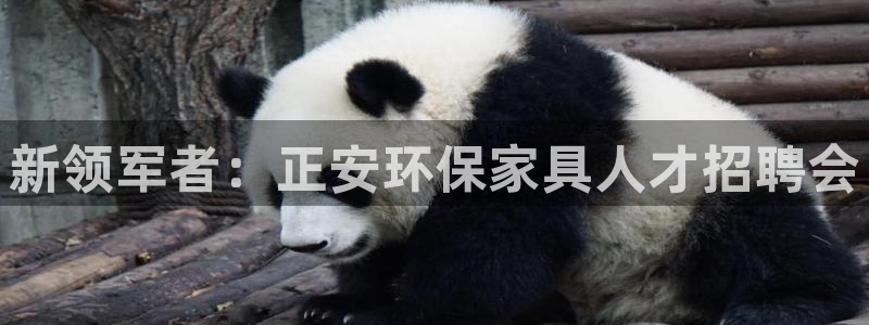 TP钱包安卓版下载地址：新领军者：正安环保家具人才招聘会