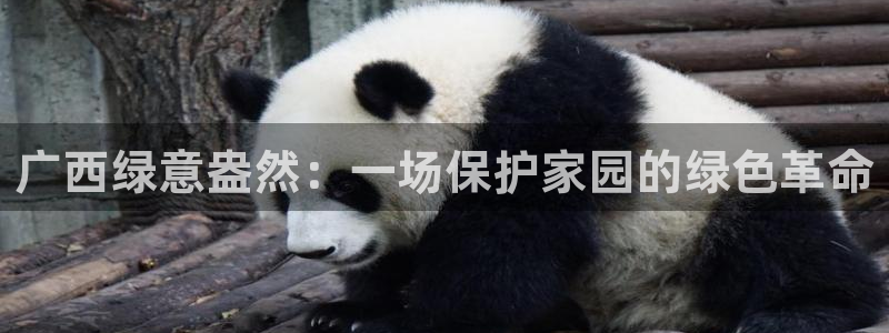 tptp官方下载安装：广西绿意盎然：一场保护家园的绿色革命