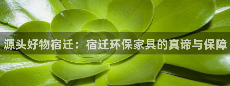 tp钱包安卓下载：源头好物宿迁：宿迁环保家具的真谛与保障