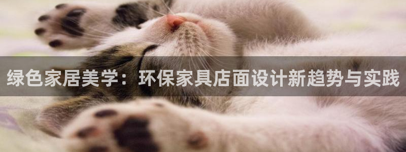 tp钱包 薄饼：绿色家居美学：环保家具店面设计新趋势与实践