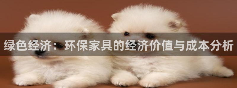 tp钱包安全吗可靠吗：绿色经济：环保家具的经济价值与成本分析