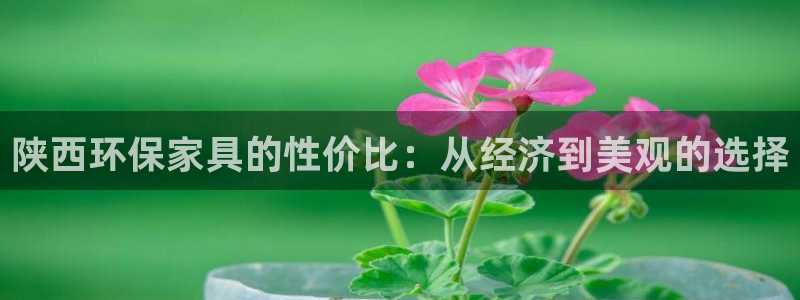 tp钱包薄饼卖不掉币怎么解决：陕西环保家具的性价比：从经济到
