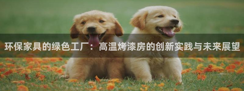 tp钱包ie节点