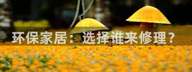 2023tp钱包官网下载app最新版本