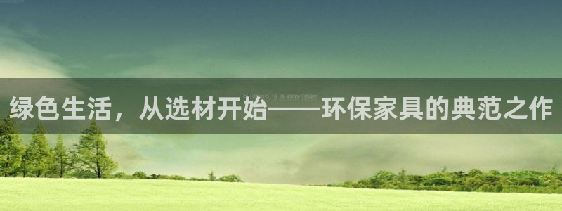 TP钱包安卓版下载2：绿色生活，从选材开始——环保家具的典范