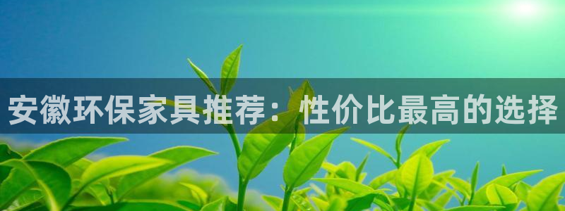 TP官方安卓最新版本为什么打不开：安徽环保家具推荐：性价比最