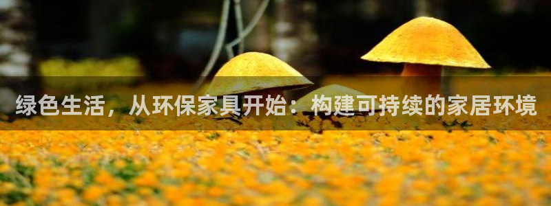 tpaptap下载：绿色生活，从环保家具开始：构建可持续的家